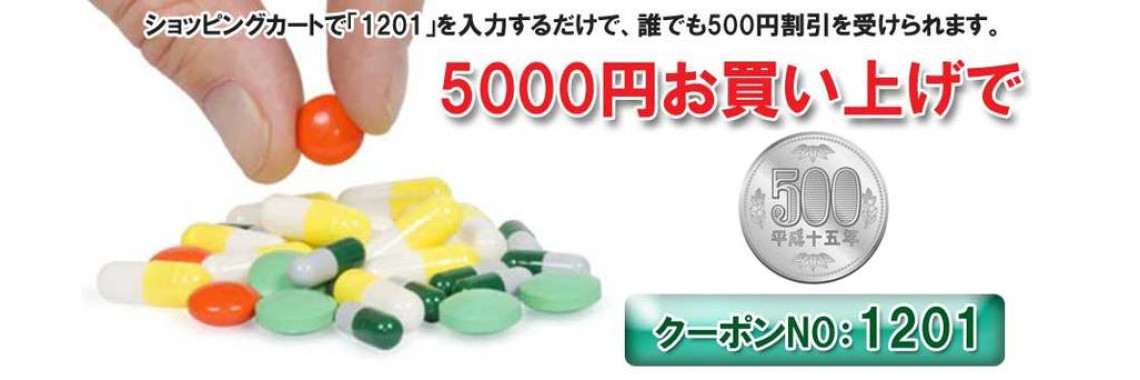5000円で500円割引 クーポン1201